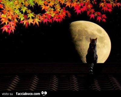 Le Verit� Nascoste