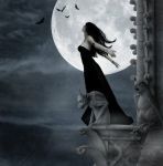 Sui passi della notte