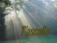 Spiragli di luce