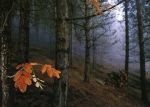 Mi vesto l'autunno