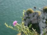 Sull'orlo di un precipizio