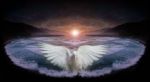 La luce spenta dei tuoi occhi