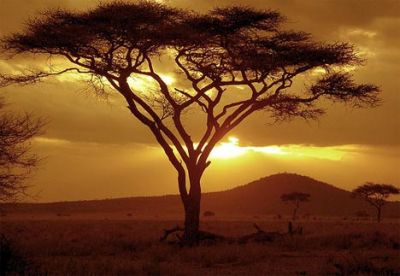 Africa lontana