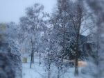 Fiocca la neve
