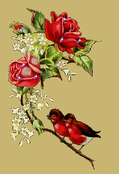 Canta la gioia