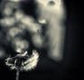 Ti amer�