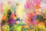 Cercami