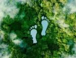 L�impronta del domani