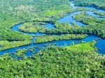 Il battito verde del mondo
