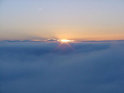 (d'alba)  
