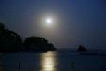 Nel mare dell'amore