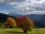 Respiro d'autunno
