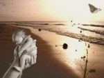 Il dono della vita
