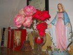 La rosa pi� bella  