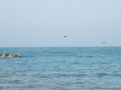 Prima della pioggia
