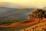 E� tornato l� autunno