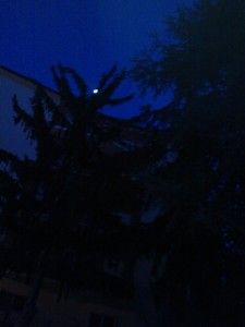 Il volto della luna