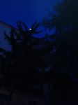 Il volto della luna