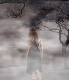 Voce nella notte