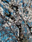 Respiro d'amore a primavera
