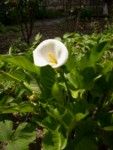Aria di primavera