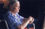Amore materno