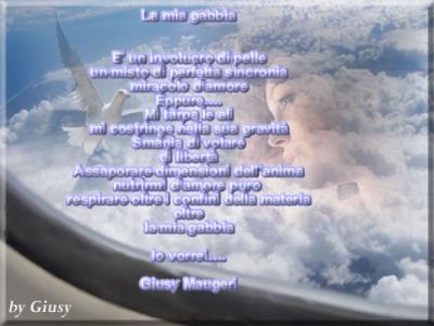 La mia gabbia