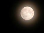 Delirio di una notte di piena estate