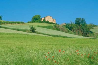 In campagna