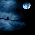 Immutabile destino