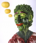 Una vita da Vegano