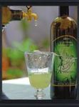 Artemisia Absinthium (Assenzio)