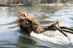 La corrente del mio fiume