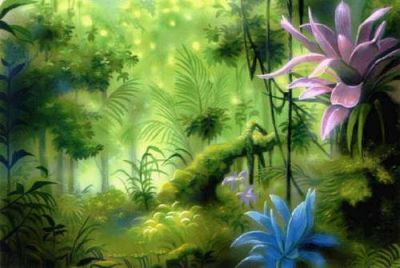 Sarà sempre verde l'attesa
