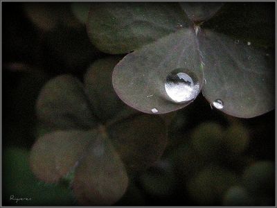 Punti luce