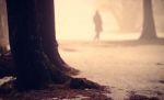 Sar� d'inverno  