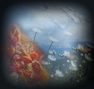 Nell’aria il risveglio