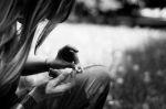 Un silenzio che non c'è