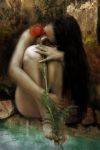 Com'era profumata la rosa