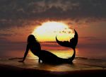 Nel pianto di una sirena
