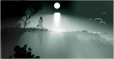 Notte di luna piena