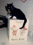 Auguri!
