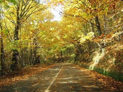 Giorni di ottobre