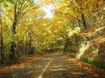 Giorni di ottobre