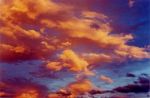 Aspettando la notte