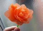La rosa di plastica