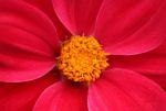 C'� sempre un motivo per vivere