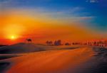 Il sole della sera