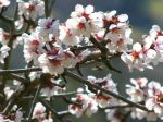 Accadde ai primi di marzo