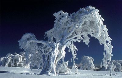 Ghiaccio e neve